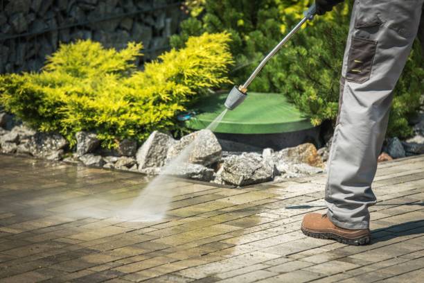 Best Spring Cleaning  in Palmetto Bay, FL