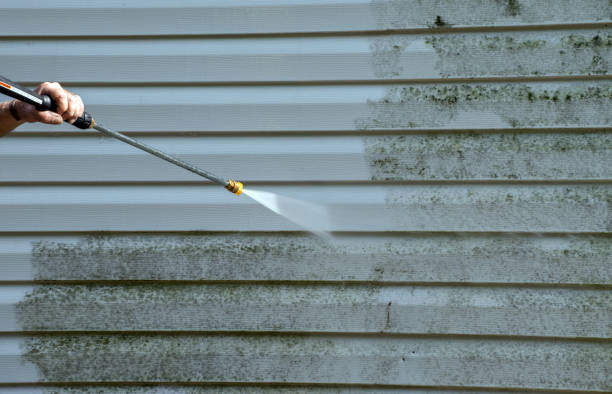 Best Driveway Pressure Washing  in Palmetto Bay, FL