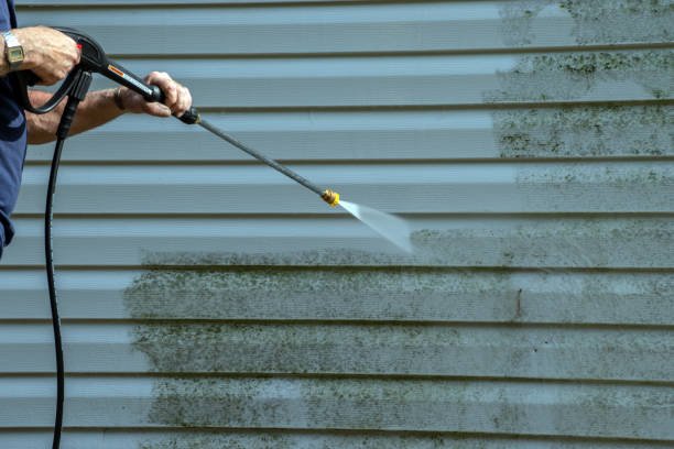 Professional Pressure Washing in Palmetto Bay, FL